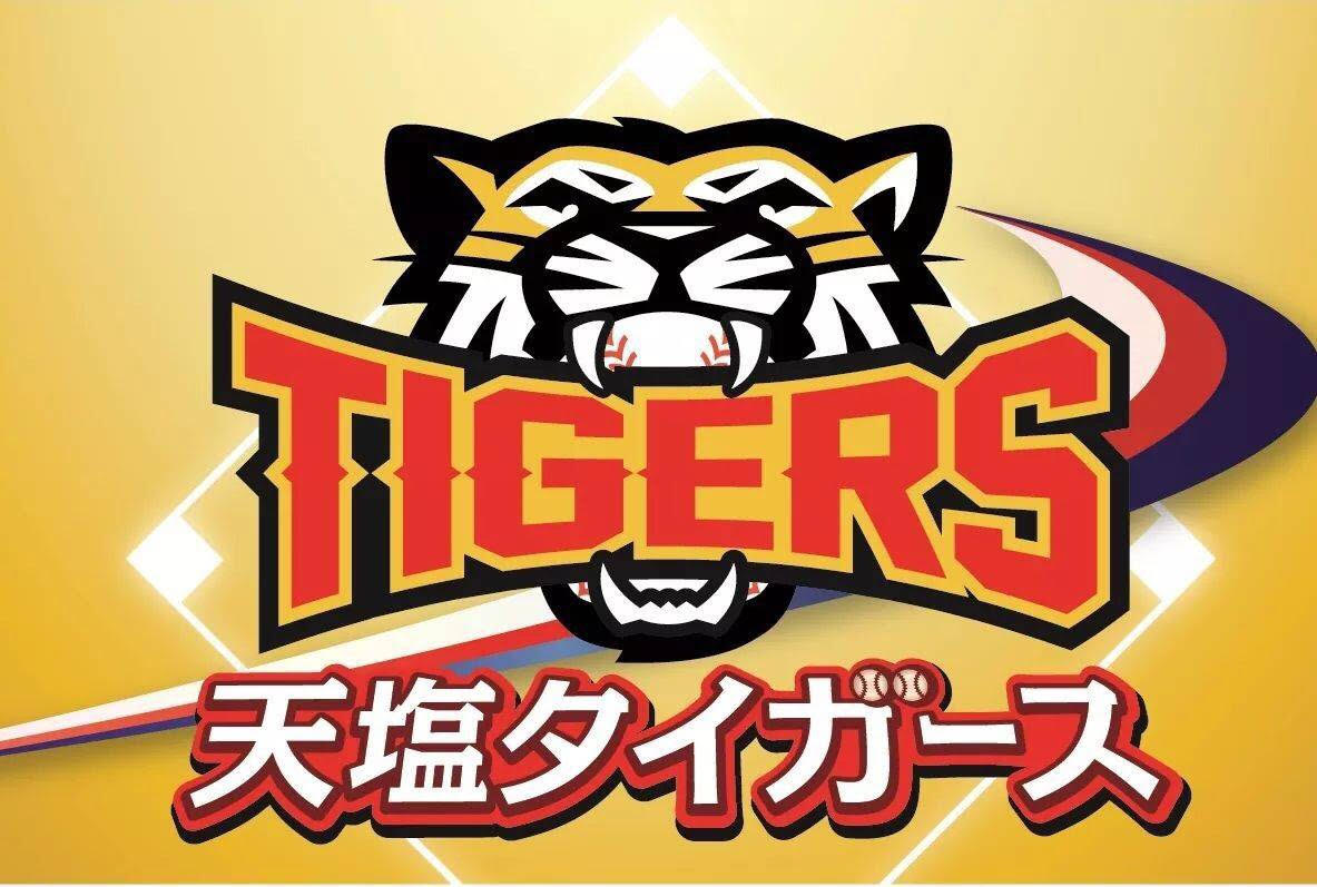 天塩タイガース