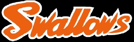 堀小スワローズ