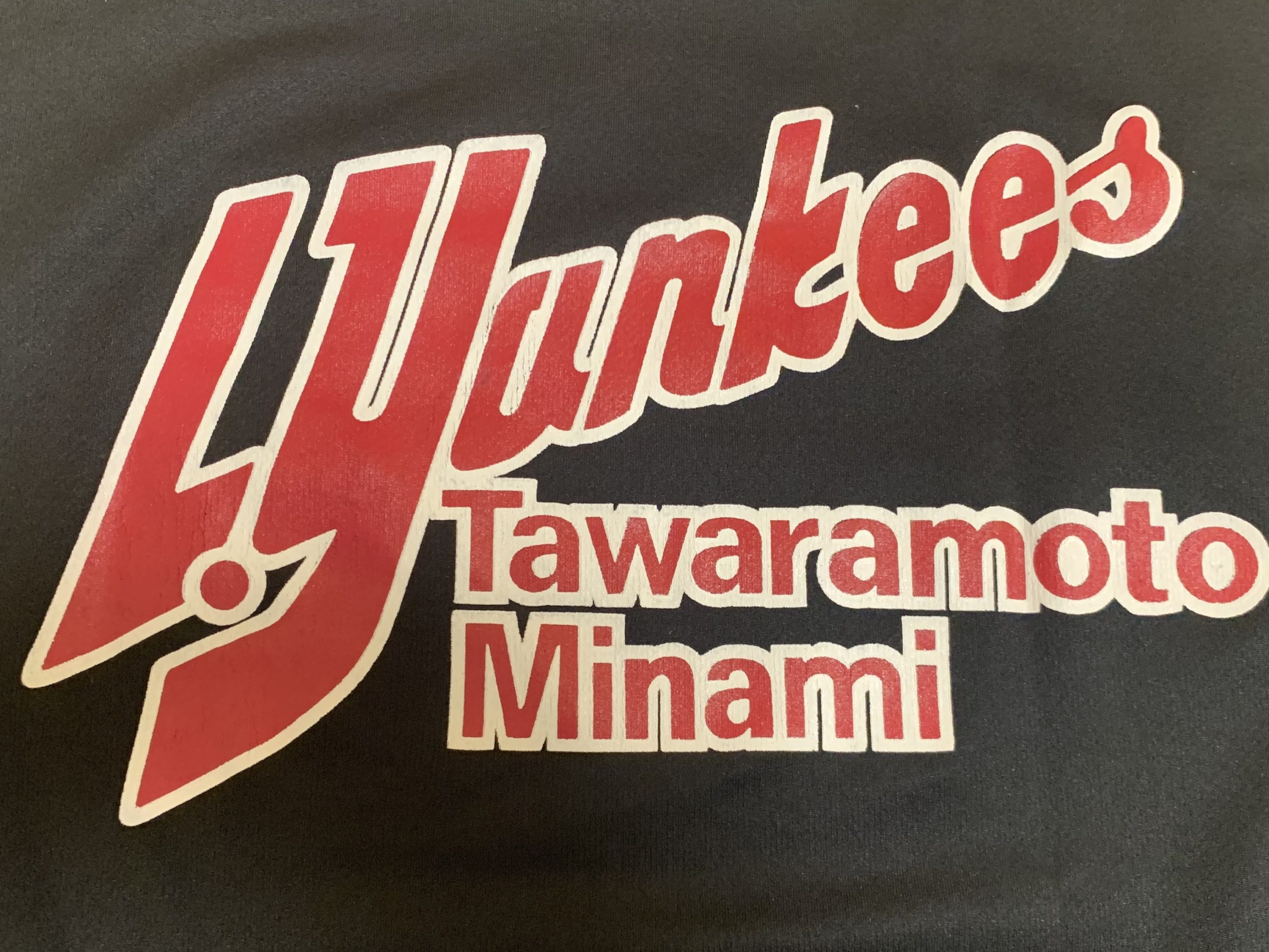 田原本南リトルヤンキース