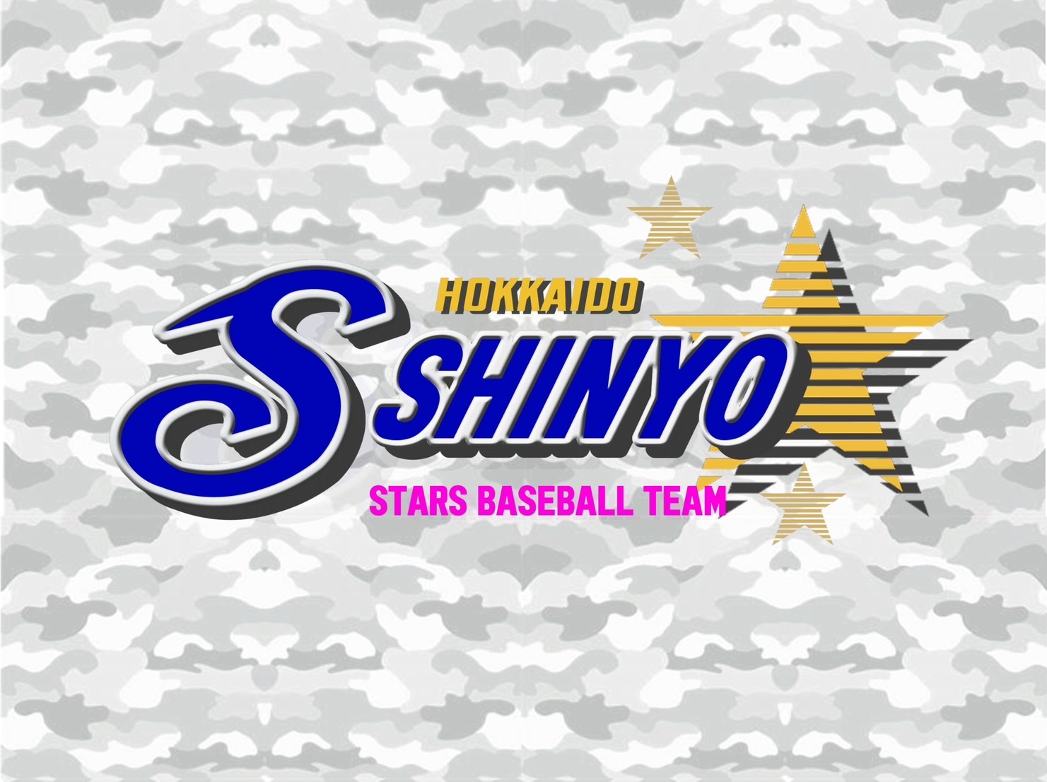 新陽スターズ少年野球団