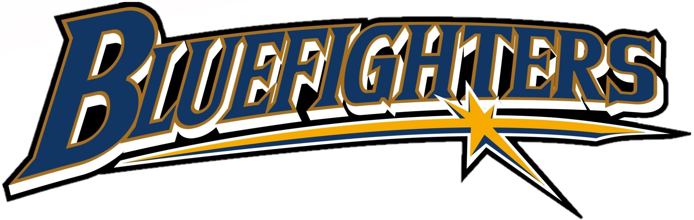 藤田ブルーファイターズ