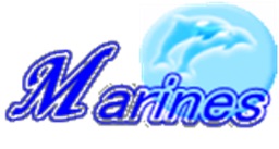 太田マリーンズ